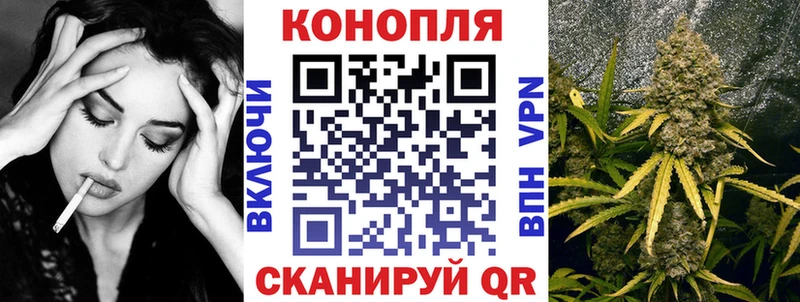 Купить закладки  Томмот  Конопля тримм 